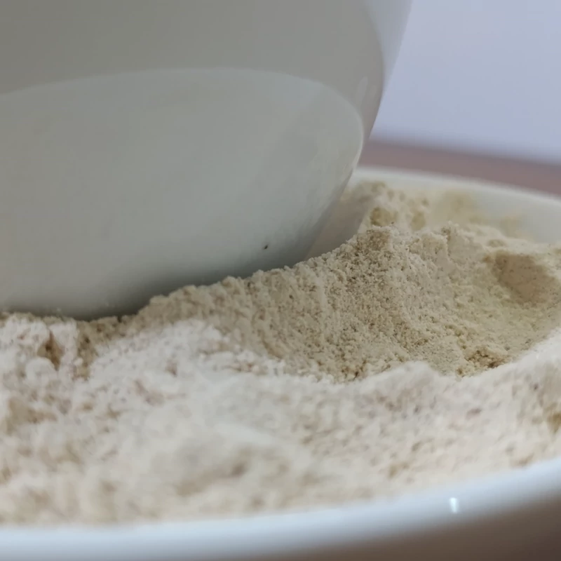 پودر ماسالا کلاسیک 100 گرمی ترنج