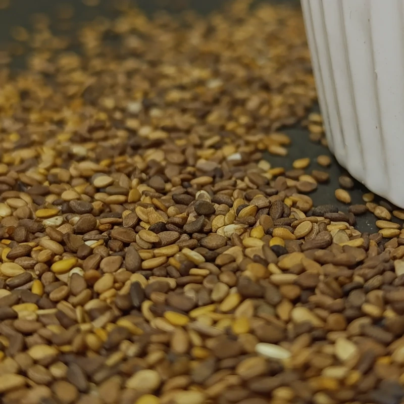 کنجد قهوه ای درجه یک 250 گرمی ترنج