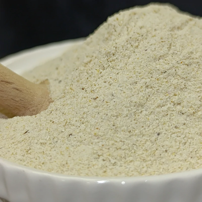 ادویه سیر و پنیر پارمزان 100 گرمی ترنج
