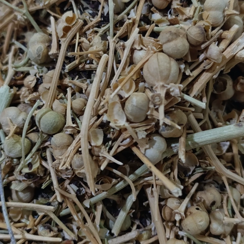 اسپند نخودی درجه یک 100 گرمی ترنج